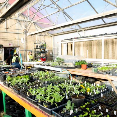 Rio Grande Community Farm by null