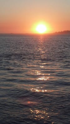 Pacific Taxi Services