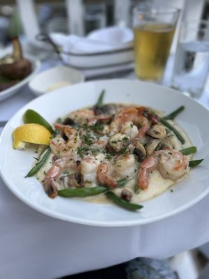 Louie's Backyard by null