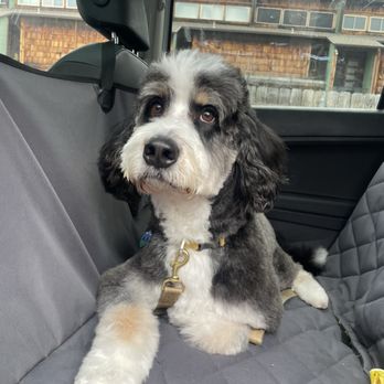 Barkin' Creek - Rainey - Pet Stores Near Me - Austin, Texas