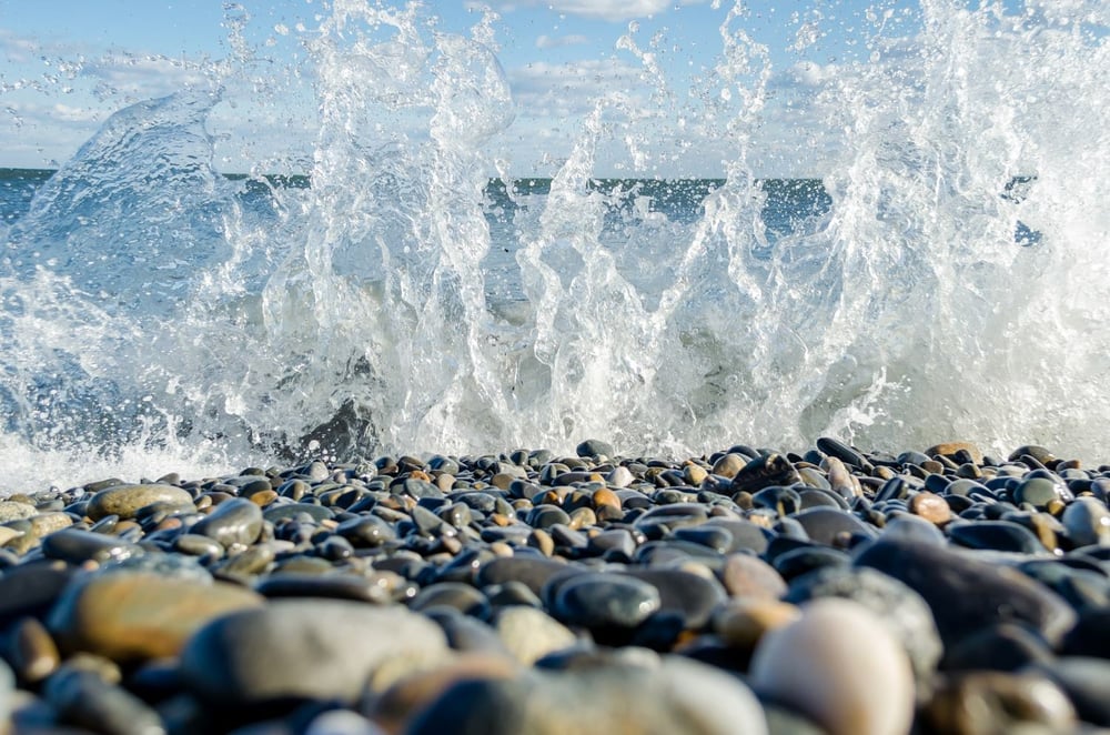 GREEN STRATEGY NW Updated April 2024 9307 NE 128th Ln, Kirkland