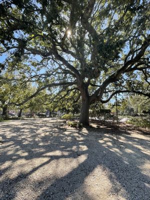 Louis Armstrong Park by null