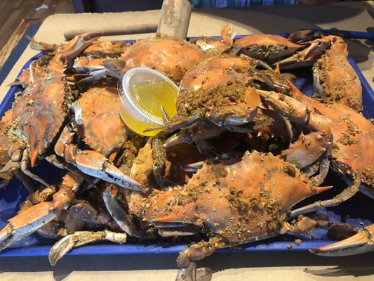 Mother Shuckers Crab Shack 1014 Winchester Ave Martinsburg Wv Seafood Markets Mapquest
