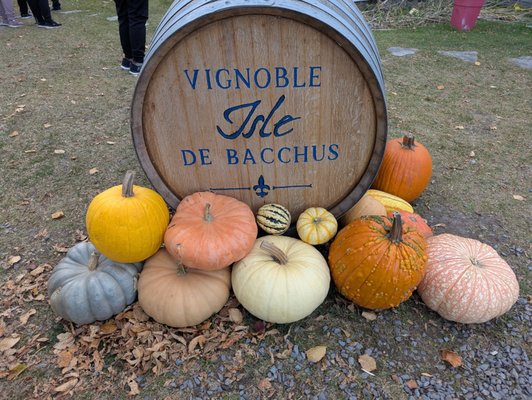 Vignoble Isle de Bacchus by null