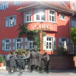 Hecht