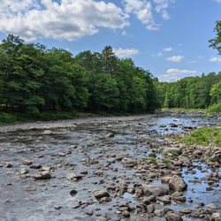 Wire Bridge