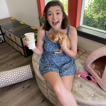 The Caffeinated Cat - Kittens and lemonade - Coffee & Tea Near Me - Jacksonville Beach, Florida