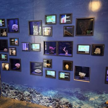 Waikiki Aquarium - Aquariums Near Me - Honolulu, Hawaii Waikiki Aquarium - Aquariums Near Me - Honolulu, Hawaii
