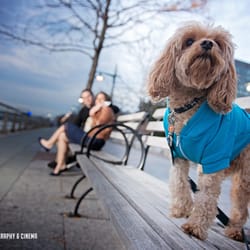 EXO Photography - Engagement sessions - Long Island engagement photogarphers