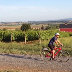Red Barn Rides