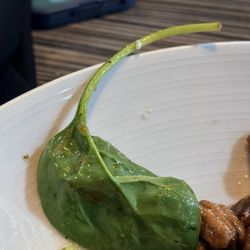 Hangar One Steak House - 3 inch long mature stems