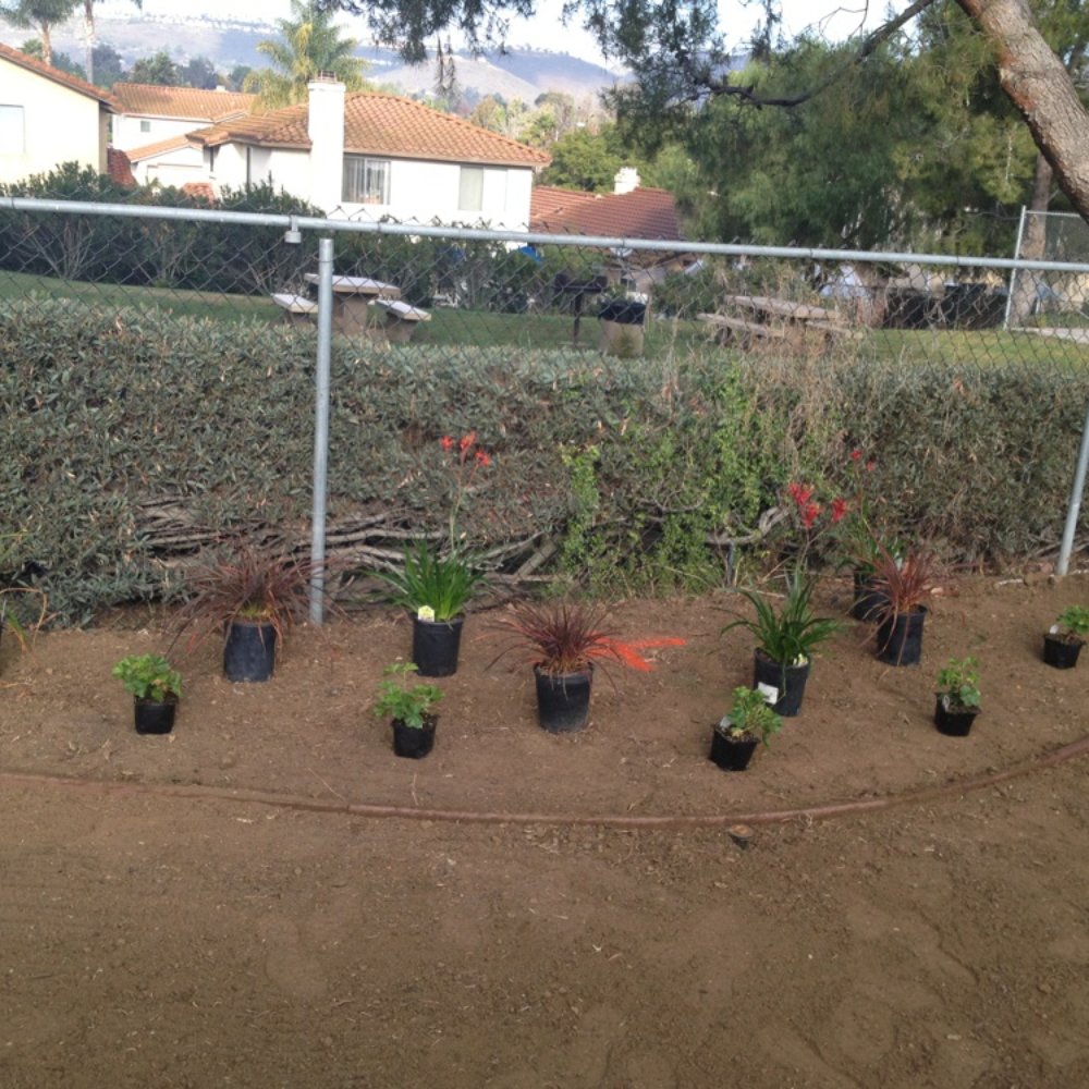 Crossman Landscape - Landscaping Near Me - Santee, California Crossman Landscape - Landscaping Near Me - Santee, California