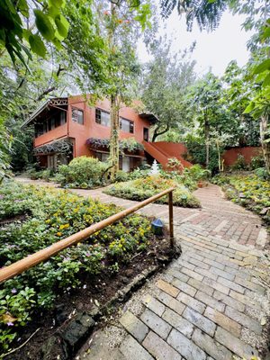 Sonya's Garden by null
