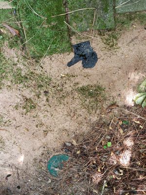 Elite Roofing and Restoration