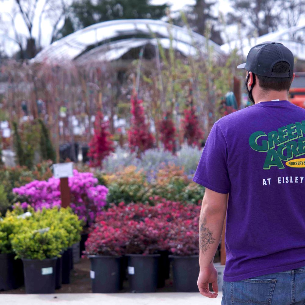 TOP 10 BEST Nurseries & Gardening near Cool, CA 95614 - Updated 2026 - Yelp