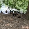 Antioch Park gift card