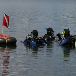 A Diver's World