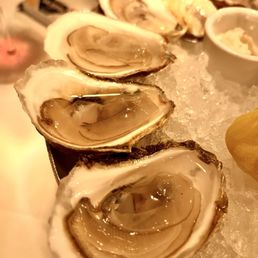 Oysters Oysters