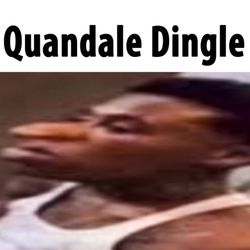Barrington High School - Student from the class of 2024 Quandale Dingle