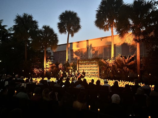 Jungle Island by null