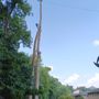 Photo of West Tree Services