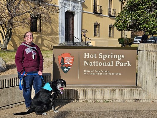 Hot Springs National Park by null