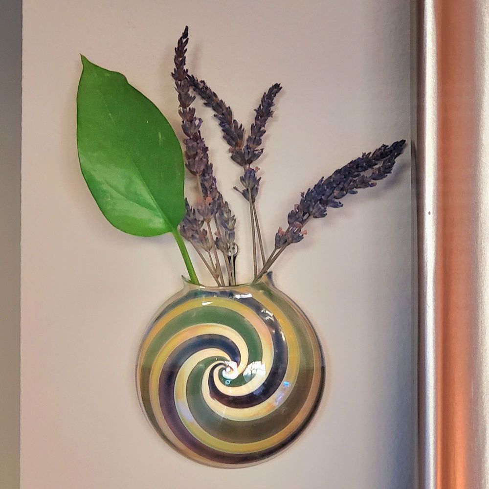 More Than Old - Found this unique glass wall planter by Jason Probstein! - Furniture Stores Near Me - Philadelphia, Pennsylvania More Than Old - Found this unique glass wall planter by Jason Probstein! - Furniture Stores Near Me - Philadelphia, Pennsylvania