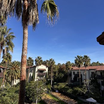 Greenfinch Restaurant - View from the Patio - New American Near Me - La Jolla, California