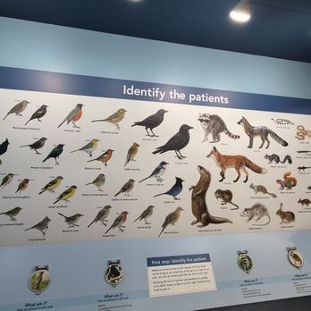 Lindsay Wildlife Experience - Museums Near Me - Walnut Creek, California Lindsay Wildlife Experience - Museums Near Me - Walnut Creek, California