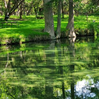 Blue Hole Regional Park - Parks Near Me - Wimberley, Texas Blue Hole Regional Park - Parks Near Me - Wimberley, Texas