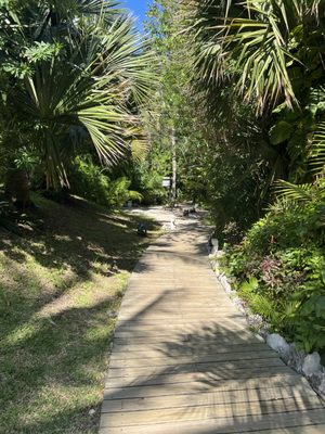 Mayan Palace by null