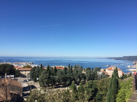 Castello di San Giusto by null