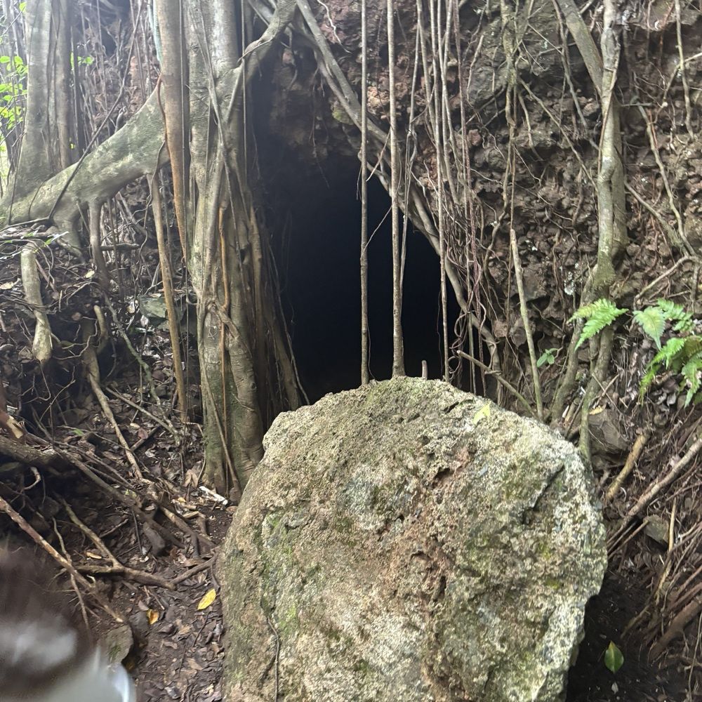 Waimano Loop Trail - Hiking Near Me - Pearl City, Hawaii Waimano Loop Trail - Hiking Near Me - Pearl City, Hawaii