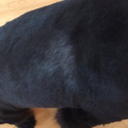 Her skin is visible!