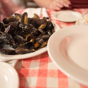 RotD - if you build it they will come