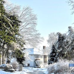 Cedar Ridge Creative Centre - Winter wonderland