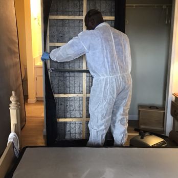 Oceanside Pest Control - Pest Control Near Me - Key Largo, Florida Oceanside Pest Control - Pest Control Near Me - Key Largo, Florida