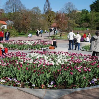 Botaniska Trädgården - Tulips welcome you - Botanical Gardens Near Me - Göteborg, O