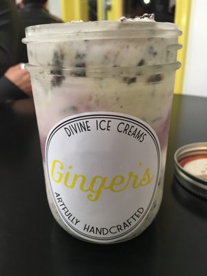 Ginger's Divine Ice Creams by null
