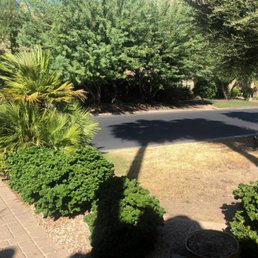 The lawn is dead and they said they had been coming every week to trim... they failed to replace valves (again) The lawn is dead and they said they had been coming every week to trim... they failed to replace valves (again)