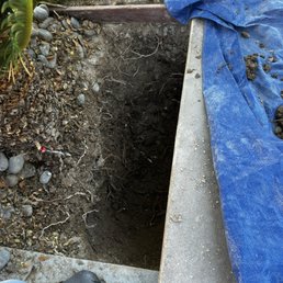 Used tarp to protect the lawn