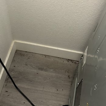 Site Summit - bugs - Apartments Near Me - Las Vegas, Nevada