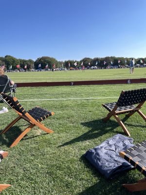 Newport Polo by null