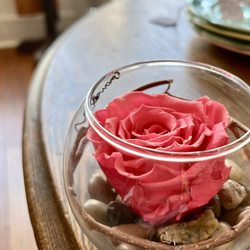 Terrapin Rose - 'A Rose By Any Other Name Would Smell As Sweet' (Terrapin's Preserved Rose)
