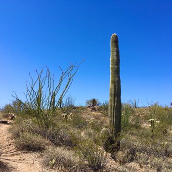 Vulture Peak Trail - Lower trail - Hiking Near Me - Wickenburg, Arizona Vulture Peak Trail - Lower trail - Hiking Near Me - Wickenburg, Arizona