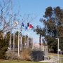 Photo of Avenue of Flags