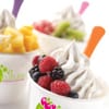 Local Culture Frozen Yogurt gift card