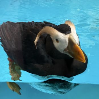 Como Park Zoo and Conservatory - Zoos Near Me - Saint Paul, Minnesota