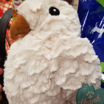 Ollie's Bargain Outlet - My dogs will love him - Discount Store Near Me - Forest City, North Carolina