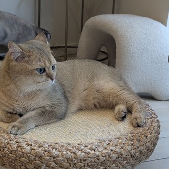 Petpls - Pet Stores Near Me - Richmond, British Columbia Petpls - Pet Stores Near Me - Richmond, British Columbia
